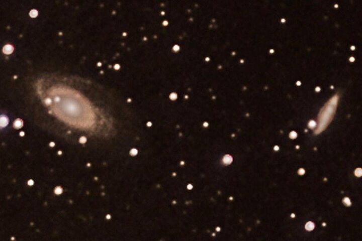 Astronomy Night - Family Stargazing in Finca Astronomica