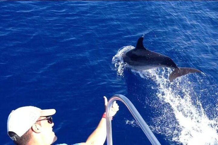 Tenerife Ecoyacht Tour for Whale Watching
