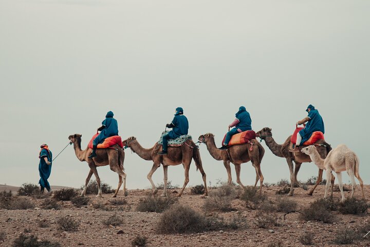 Camel Ride at Sunrise with Breakfast in Agafay Desert
