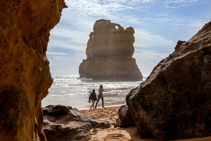 Great Ocean Road Small-Group Eco Tour from Melbourne