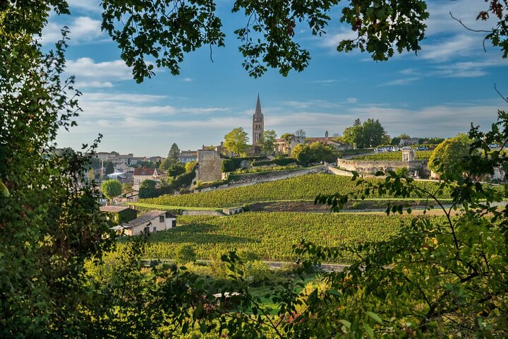 Saint-Émilion & Médoc Private Wine Tour with Exclusive Tastings