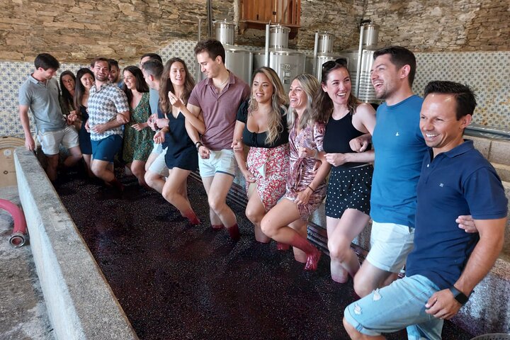 Douro Valley Pinhao Quinta da Foz Tour and Tasting 5 Wines