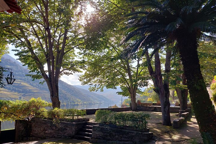 Douro Valley Pinhao Quinta da Foz Tour and Tasting 5 Wines