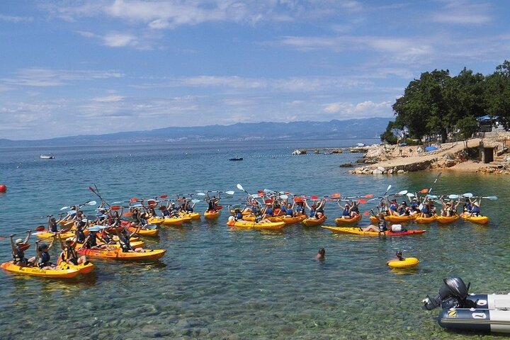 Kayak tour with snorkeling and marine biologist