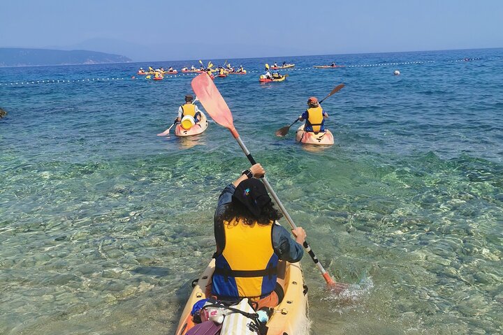 Kayak tour with snorkeling and marine biologist