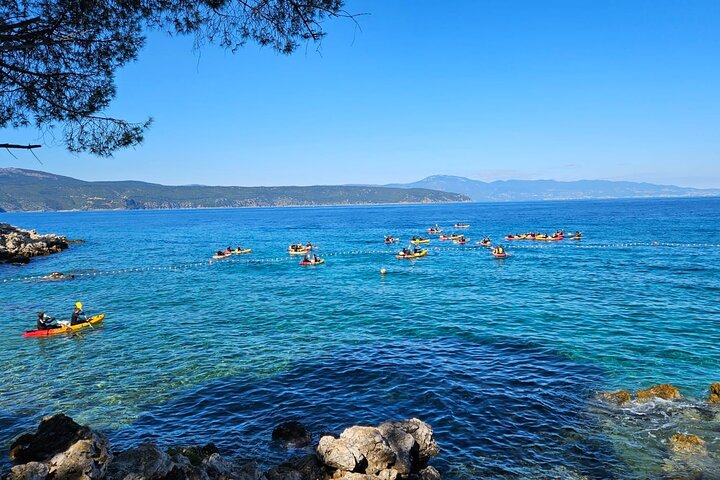 Kayak tour with snorkeling and marine biologist