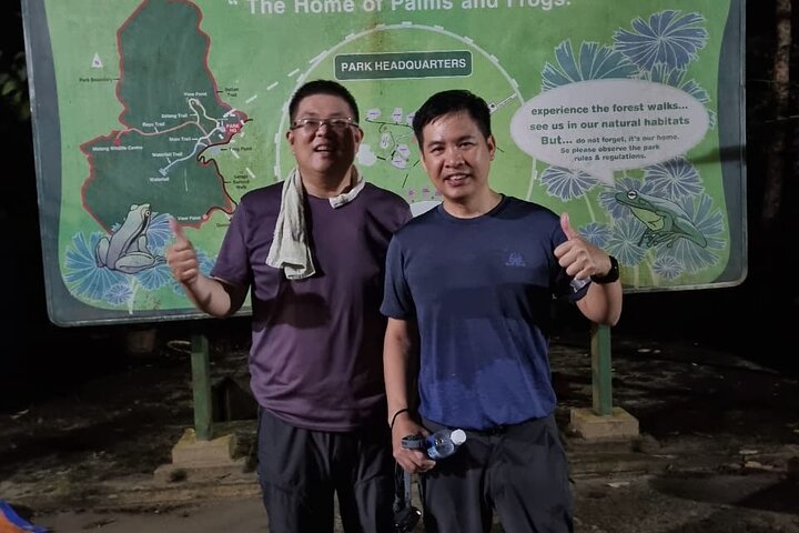 Kubah's Nocturnal Wonders Nighttime Frog Safari