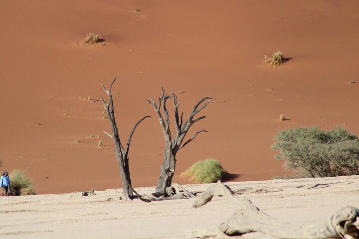 3 Days Amazing Red Dunes of Sossusvlei | Private Guided Tour