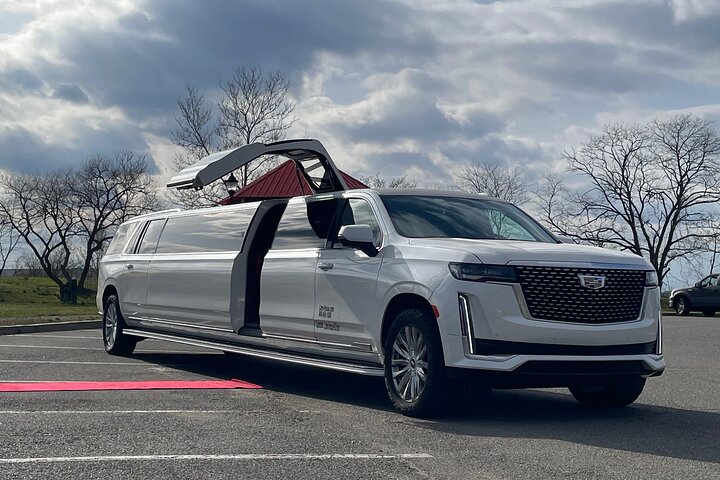 Downtown New York Taxi and Limousine Experience