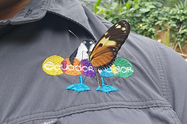 Full-Day Mindo Cloud Forest Tour Birdwatching Waterfalls and Hike