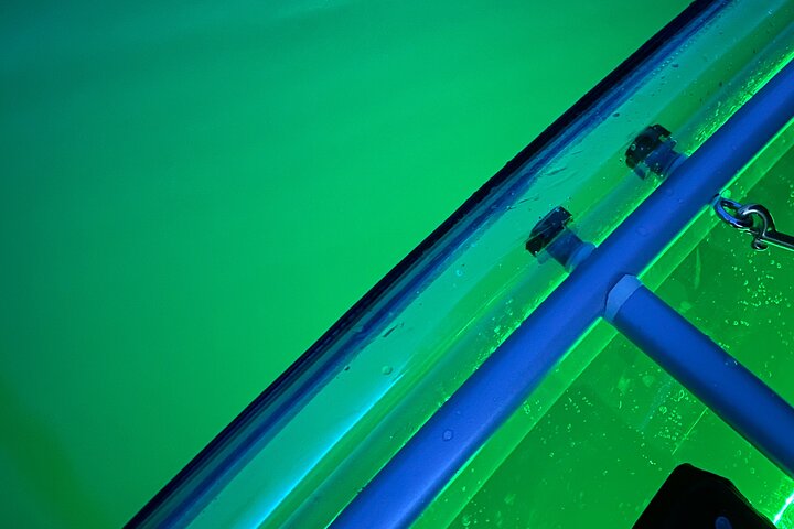 Sunset LED Clear Kayak Rentals for Glacier Park