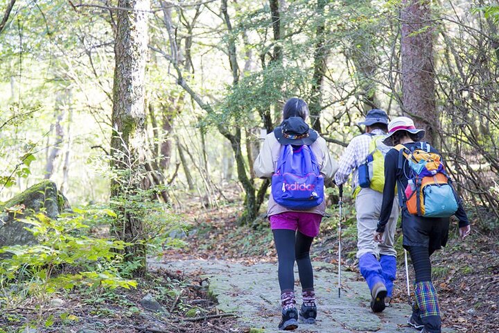 Active Volcano Hiking Tour: Mt. Shinmoe, Miyazaki–Kagoshima,Japan