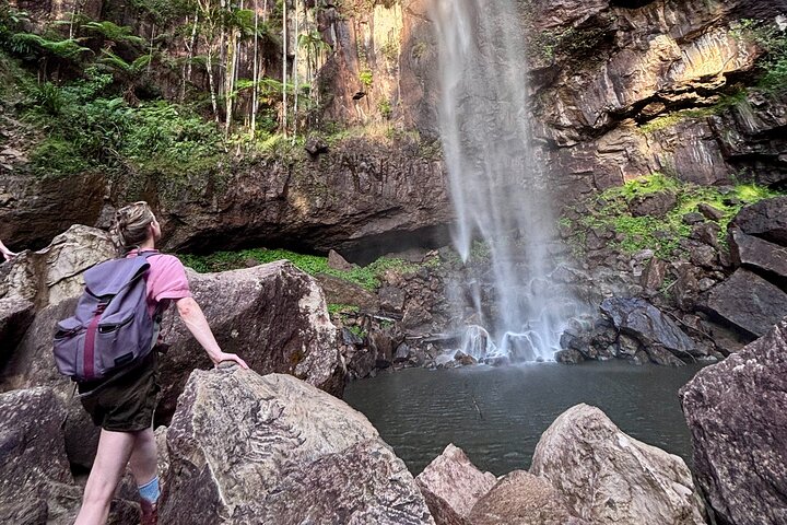 Glow-worms, Waterfalls & Rainforest Experience