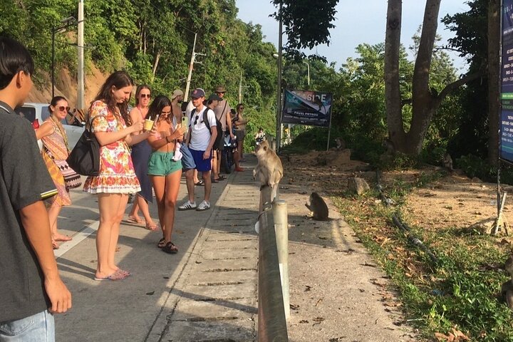 Road trip around Koh Phangan-Join Trip (Shared road trip)