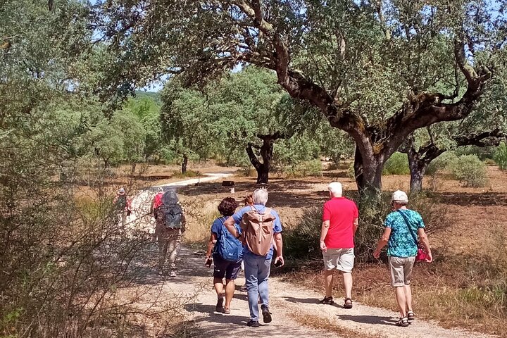 Cork & Prickly Pear Tour - Private Tour to the Heritage of Pepe Aromas