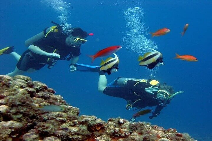 Marsa Mubarak Boat Trip with Turtles and Dugongs From Marsa Alam