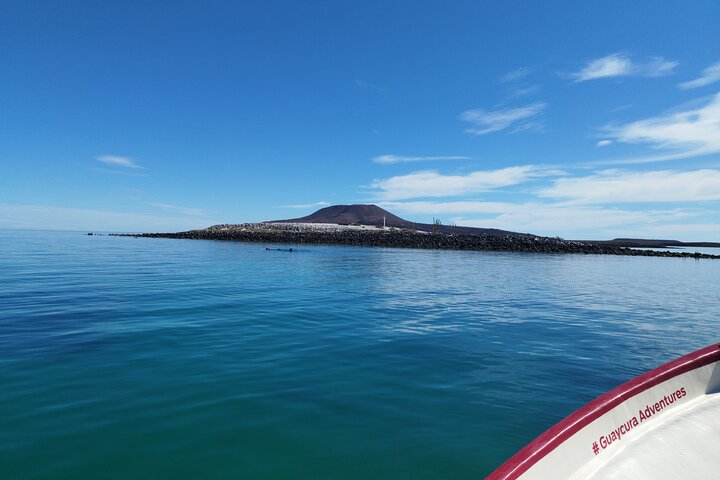 Best Tour to Coronados Island