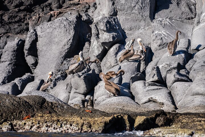 Best Tour to Coronados Island