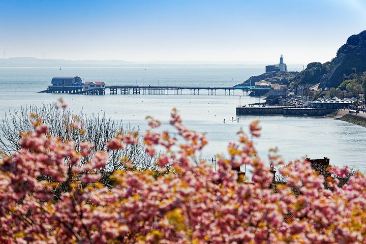 Cardiff: Golden Gower Coast, Maritime & Mumbles Day Tour