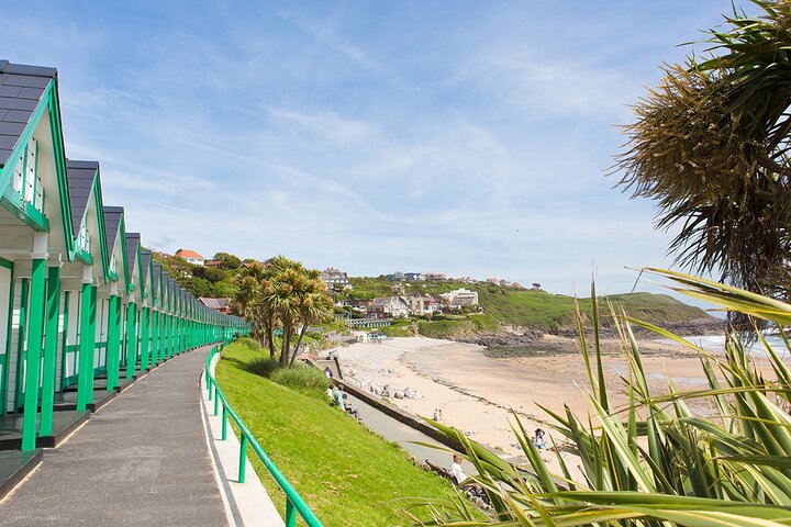 Cardiff: Golden Gower Coast, Maritime & Mumbles Day Tour