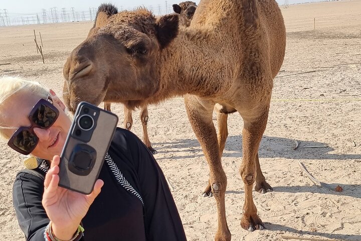 Kuwait: Half-Day City & Desert Tour with Pick-Up & Drop-Off
