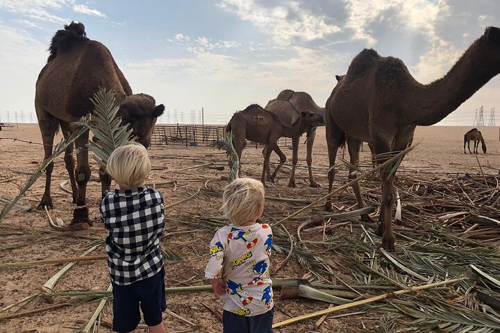 Kuwait: Half-Day City & Desert Tour with Pick-Up & Drop-Off