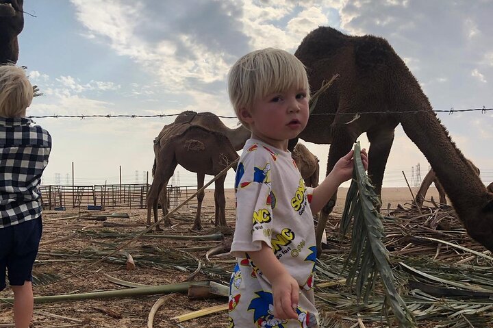Kuwait: Half-Day City & Desert Tour with Pick-Up & Drop-Off