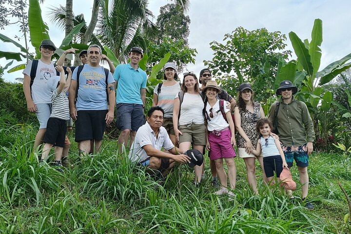 Shared Tour in the Rice Terraces, Waterfall and Monkey Forest