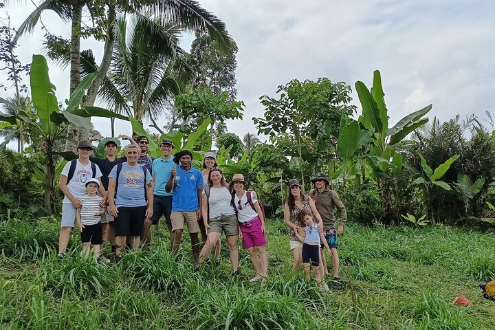 Shared Tour in the Rice Terraces, Waterfall and Monkey Forest