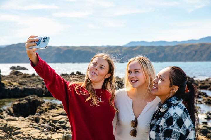 Discover Wellington 3 hour City Tour