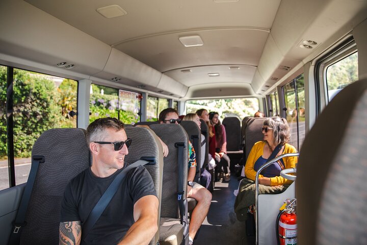 Discover Wellington 3 hour City Tour