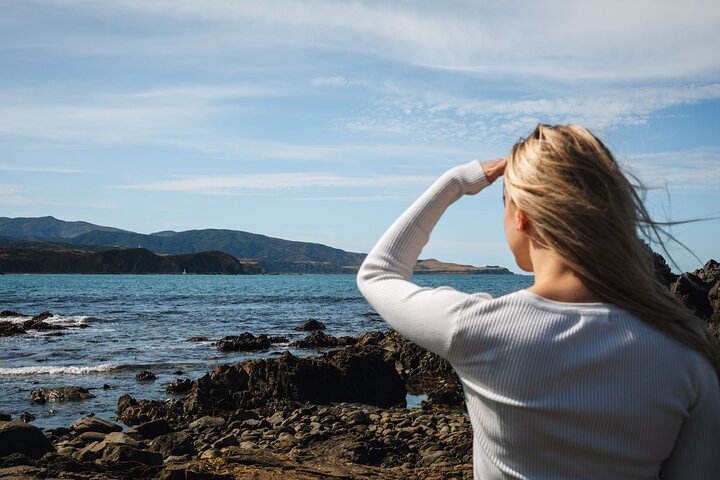 Discover Wellington 3 hour City Tour
