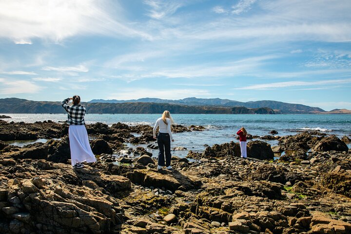 Discover Wellington 3 hour City Tour