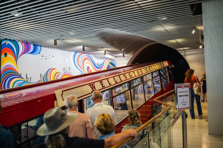 Discover Wellington 3 hour City Tour