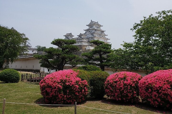 2.5 Hour Private History and Culture Tour in Himeji Castle