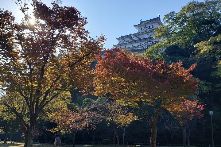 2.5 Hour Private History and Culture Tour in Himeji Castle