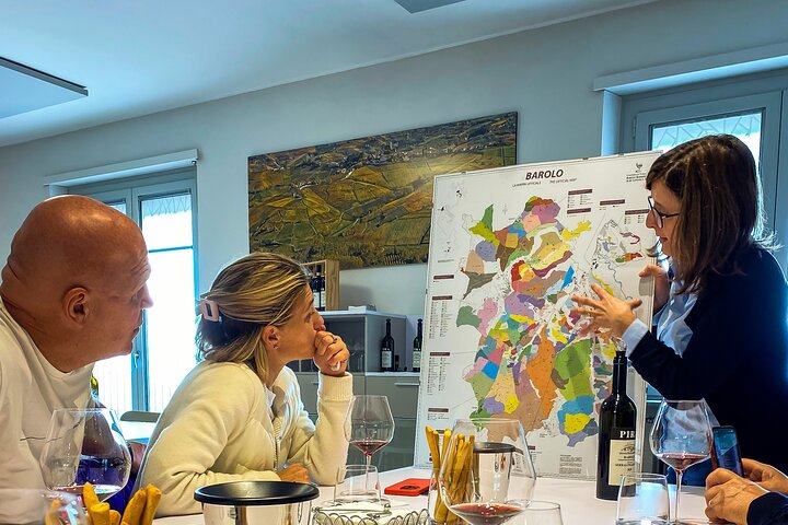 Private tour: discover Langhe wines with expert sommelier