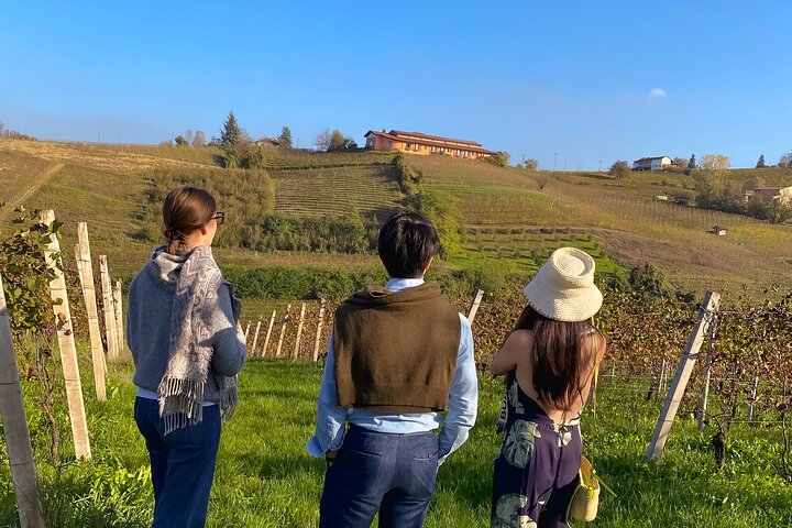 Private tour: discover Langhe wines with expert sommelier