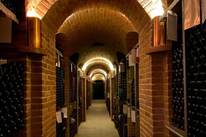 Private tour: discover Langhe wines with expert sommelier