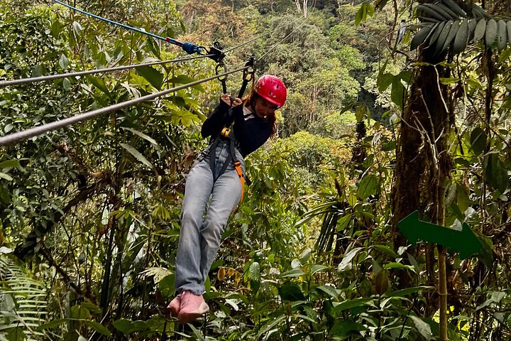 Mindo Cloud Forest Private Tour: Chocolate, Coffee, Birds, Nature