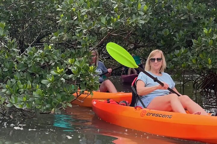 Bonita Springs Eco Kayak Tour – Best Gear, Premium&Clear Kayaks