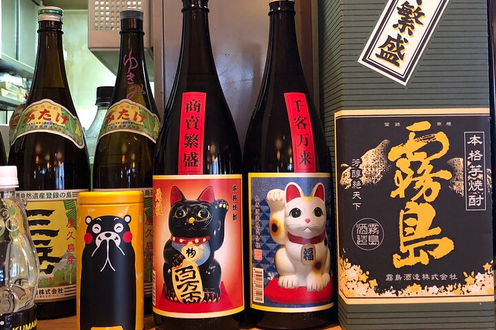 Chiba Walking Tour: Shrine, Art Museum & Japanese Homestyle Lunch