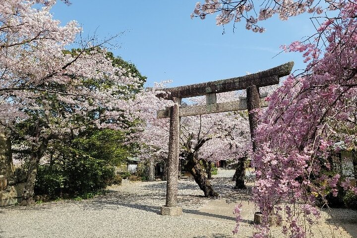 2.5 Hour Private History and Culture Tour in Himeji Castle