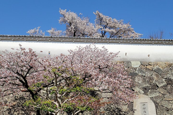 2.5 Hour Private History and Culture Tour in Himeji Castle