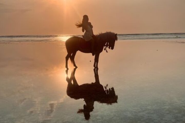 Gili Trawangan Beach Horseback Riding with Pickup Hotel