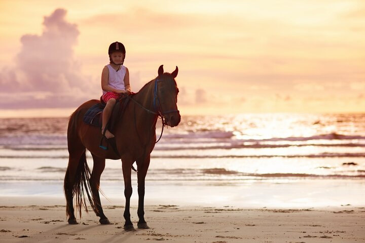Gili Trawangan Beach Horseback Riding with Pickup Hotel