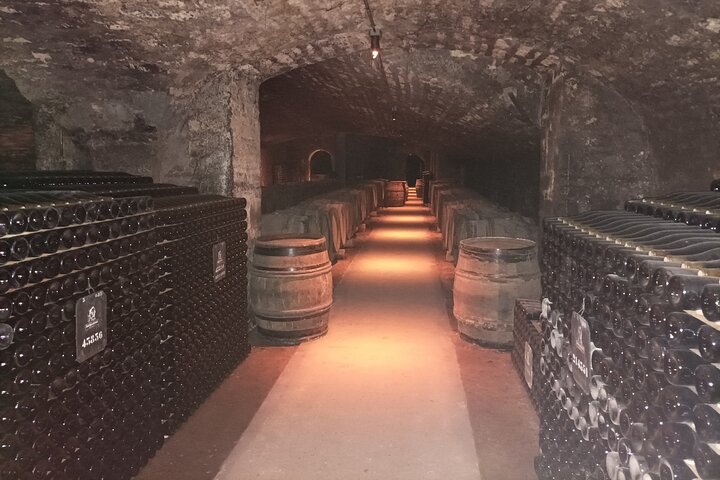 Private tour in Burgundy with your professional guide!