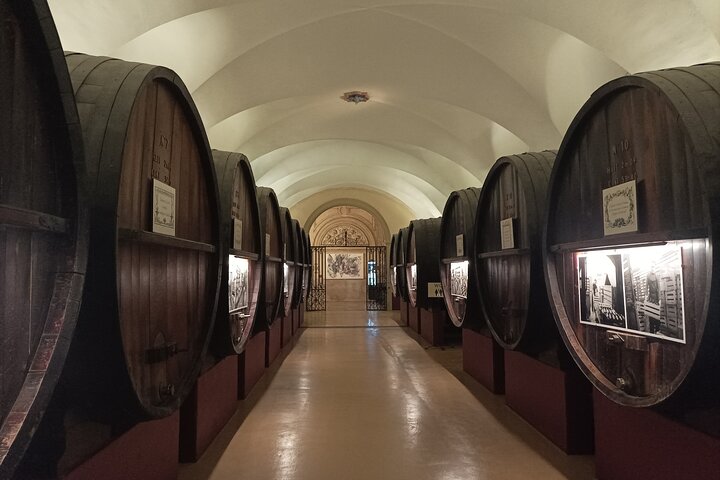 Private tour in Burgundy with your professional guide!
