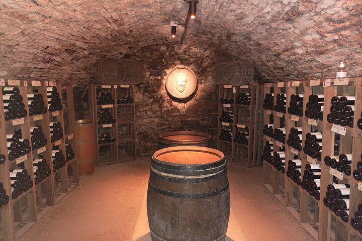 Private tour in Burgundy with your professional guide!