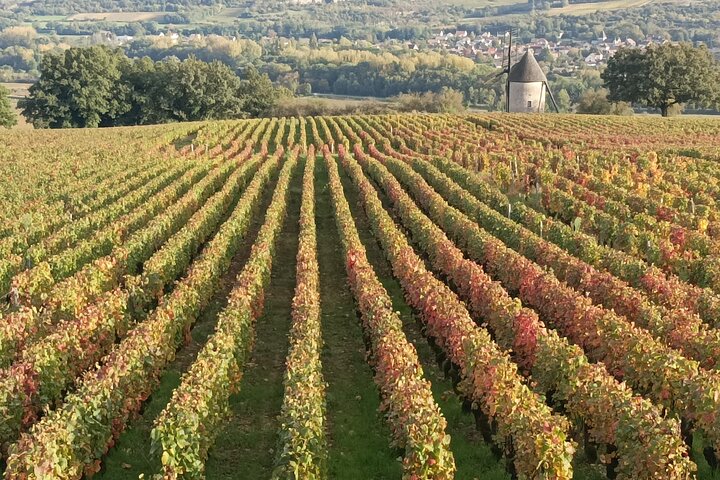 Private tour in Burgundy with your professional guide!